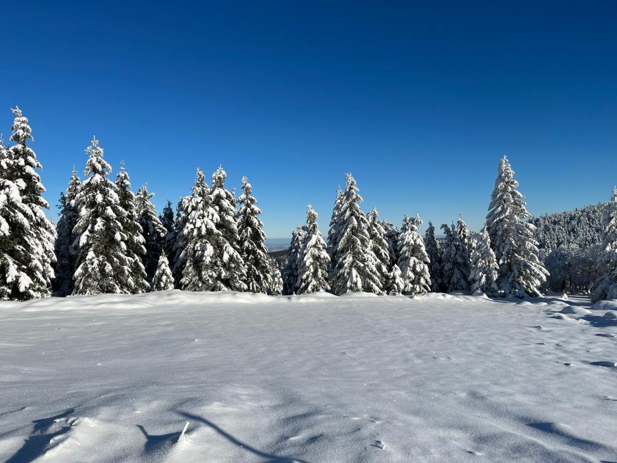 Woodyou - Izerski Resort Świeradów-Zdrój Exteriér fotografie