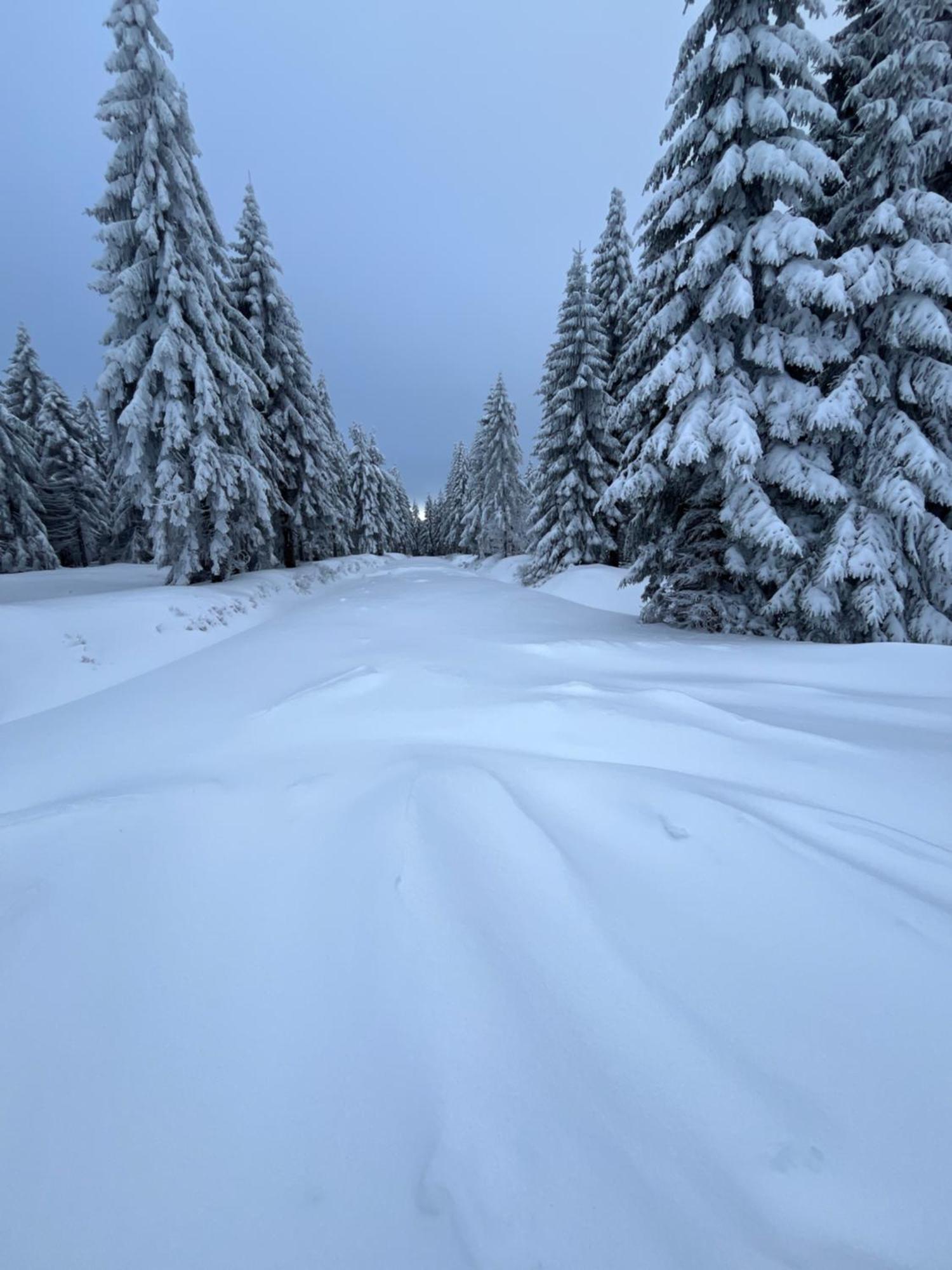 Woodyou - Izerski Resort Świeradów-Zdrój Exteriér fotografie